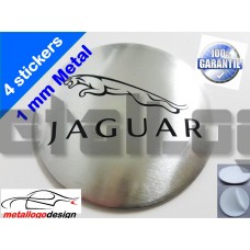 Jaguar 11
